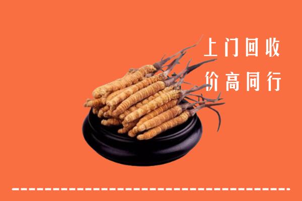 高价求购：钦州市浦北回收散虫草