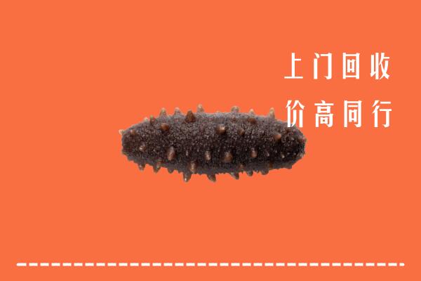 钦州市浦北回收海参