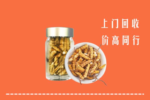 钦州市浦北回收冬虫夏草