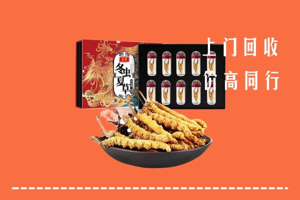 钦州市浦北回收虫草